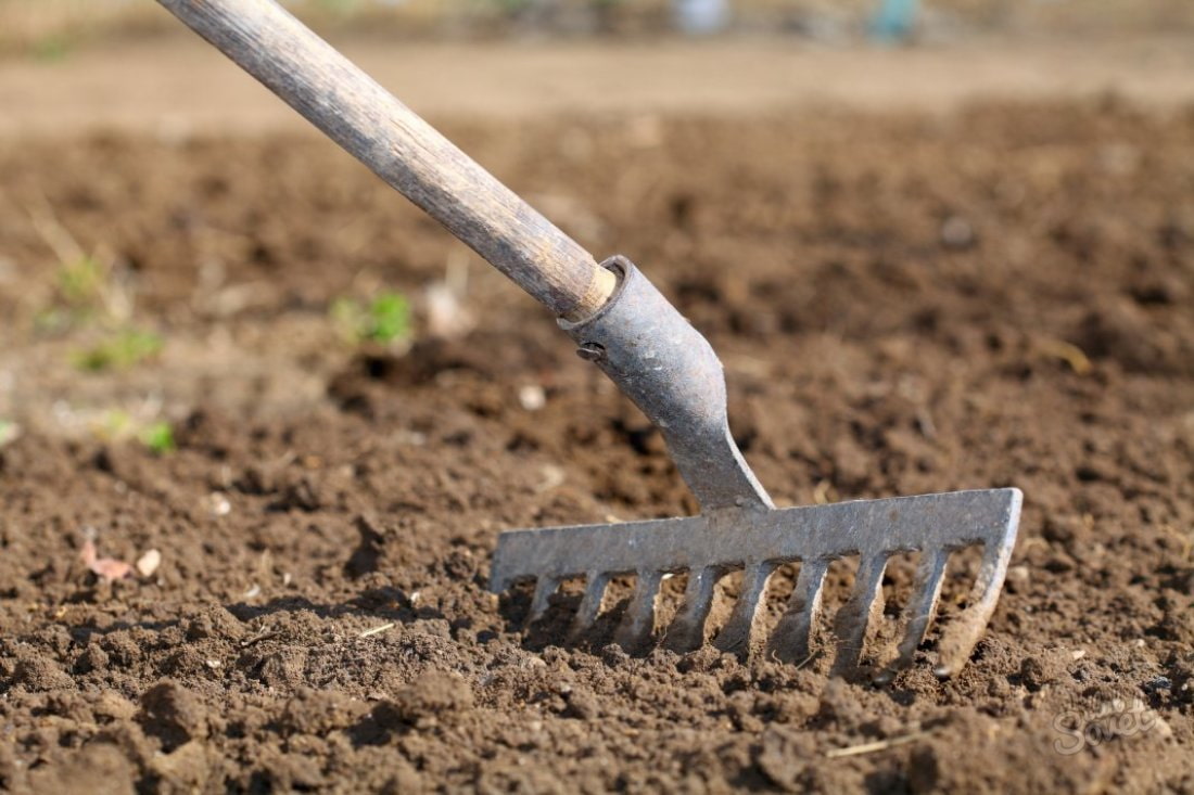 Подготовка грядки к высадке культур является важнейшим мероприятием для садовода и огородовода.